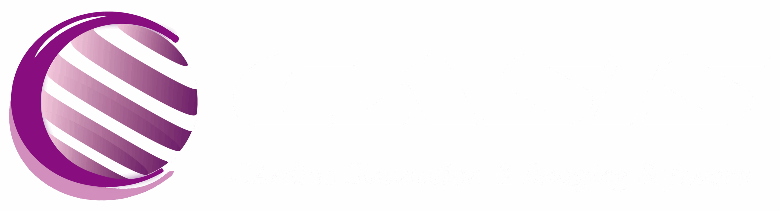 CASIS – CArdiac Simulation & Imaging Software