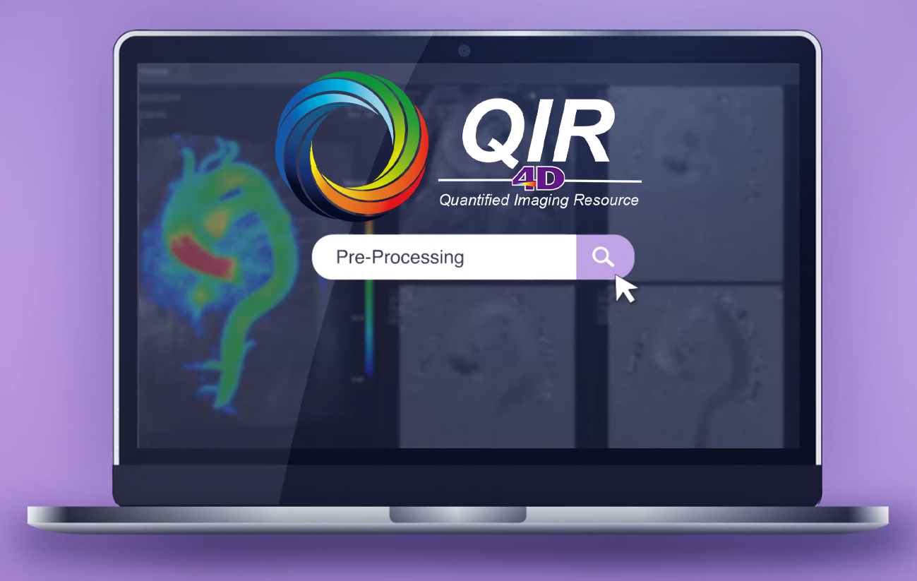 2-Pre-Processing