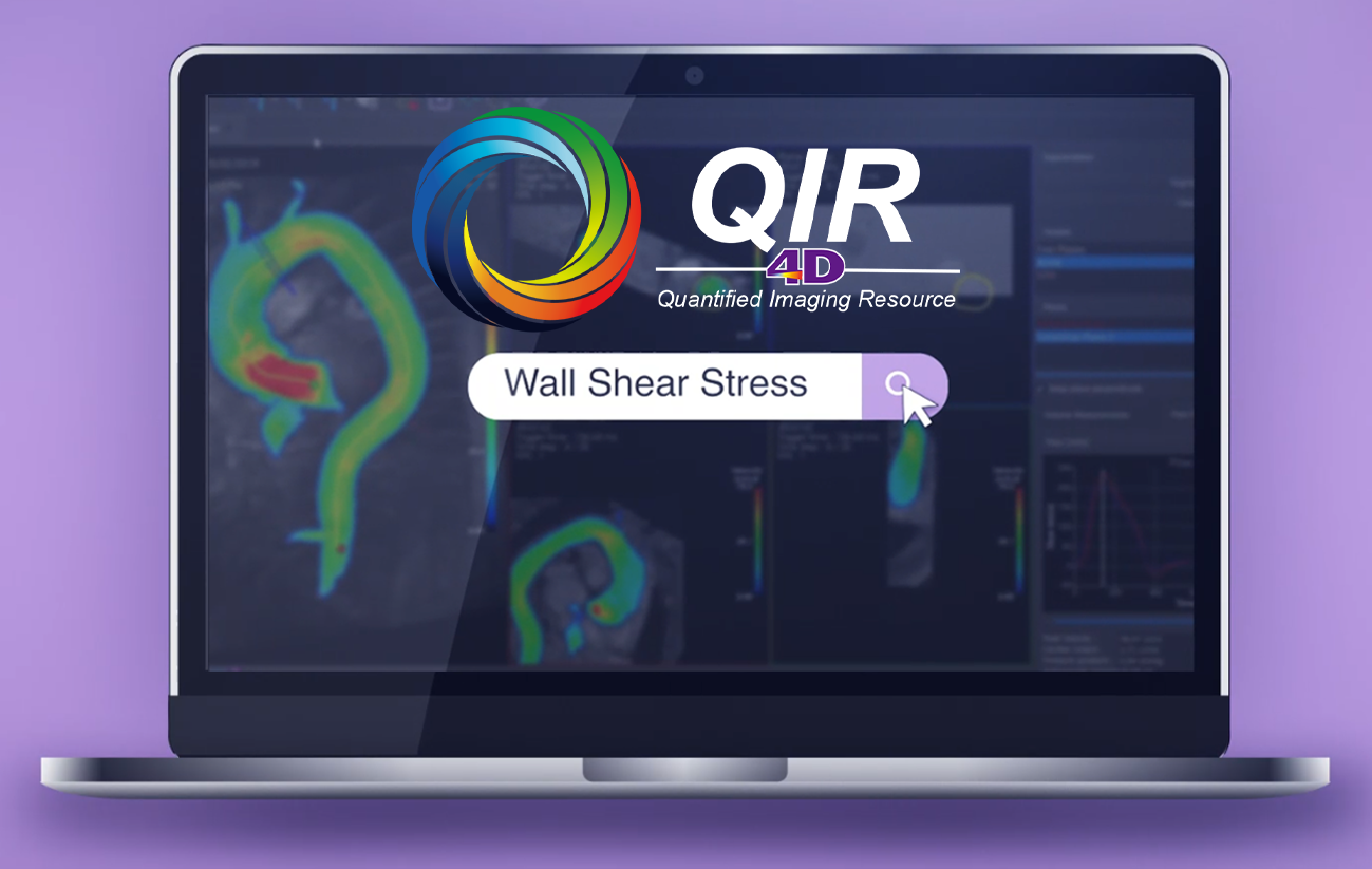 6-Wall Shear Stress